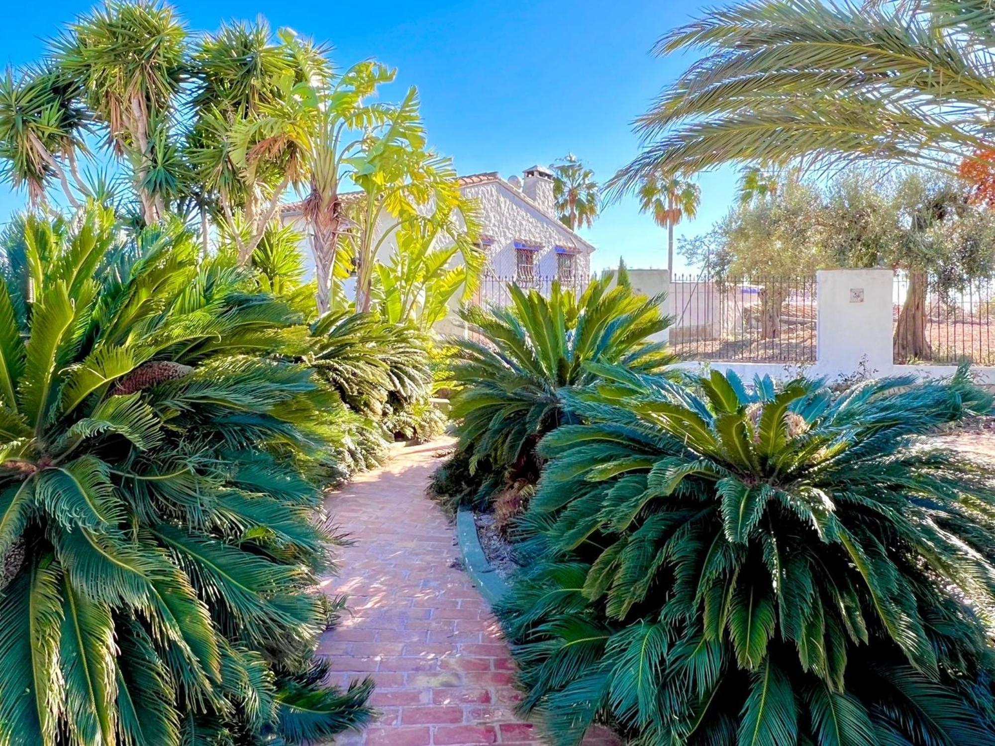 Finca Los Caballeros - Adults Only Benissa Dış mekan fotoğraf